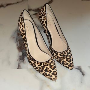 Size 7 leopard print heels